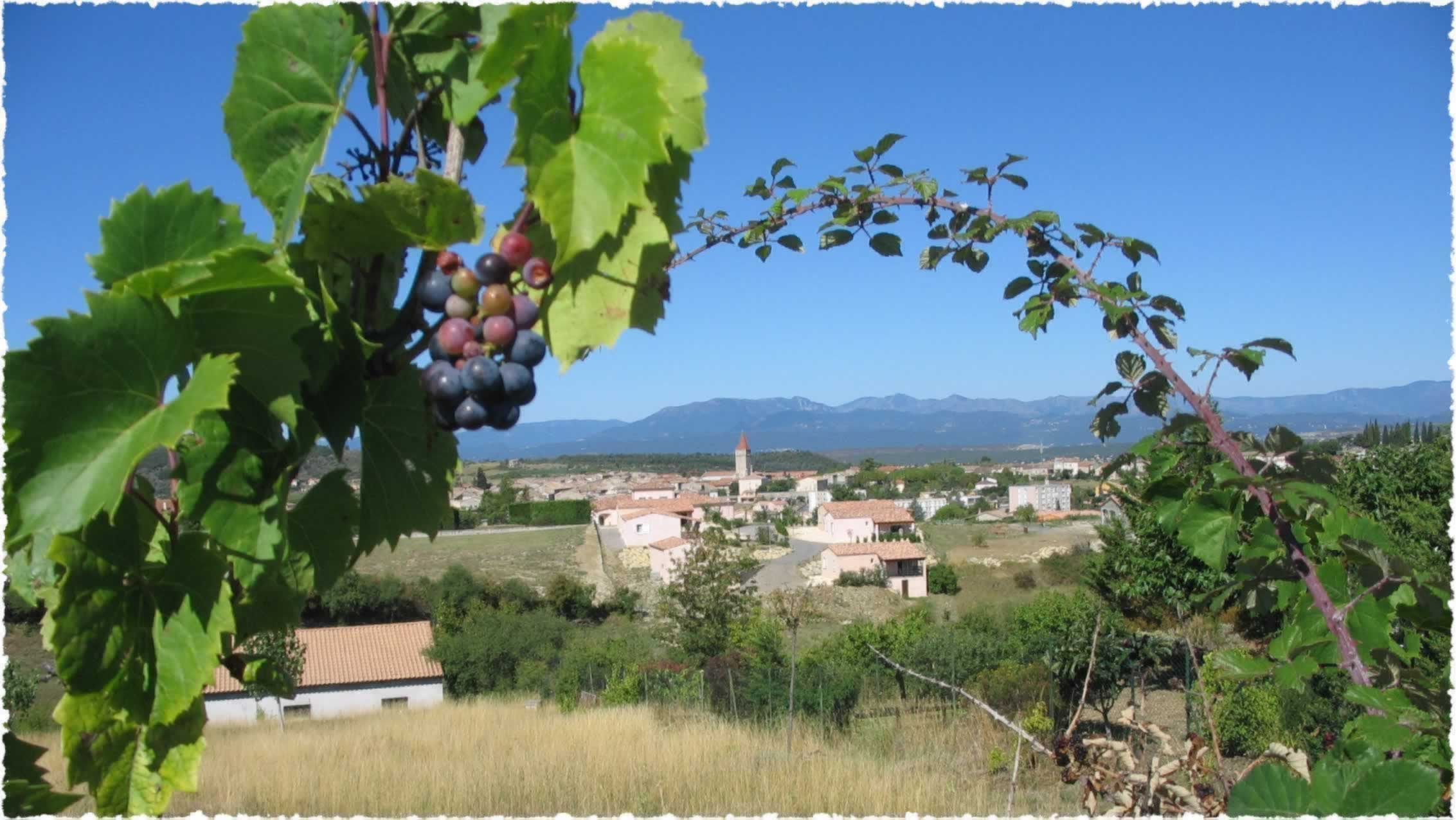 village de gites, locations, villas, sud de la france, ardeche